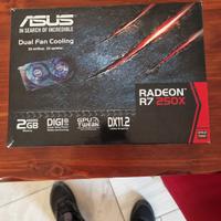 Scheda Video Asus