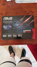 Scheda Video Asus