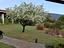 Immagine 16