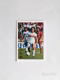 Card "Le Stelle" Franco Baresi n.333 - AIC anni 90