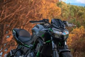  Kawasaki Z 650