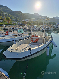 Imbarcazione Elan 490