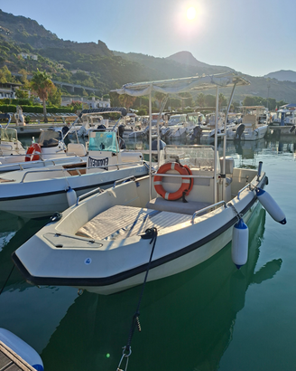 Imbarcazione Elan 490