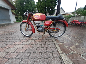 Malanca 50 cc