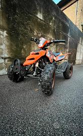 Miniquad profive 50 2t