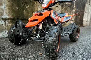 Miniquad profive 50 2t