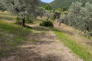 Terreno con casetta