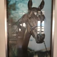 quadro