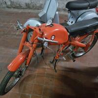 Motom Altro modello - 1965