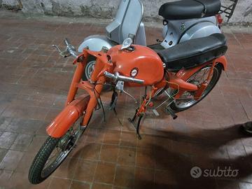 Motom Altro modello - 1965