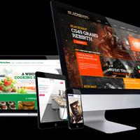 WordPress Senior