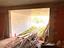 Immagine 19