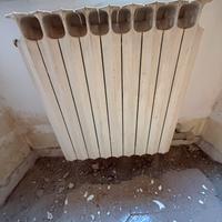 Termosifoni in ghisa