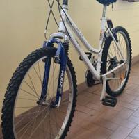 Mountain bike Project
