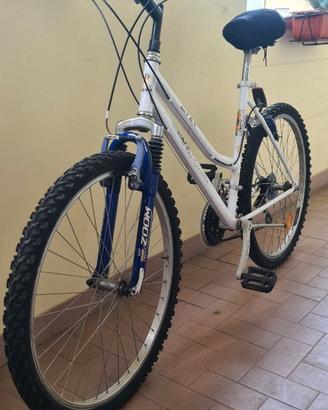 Mountain bike Project