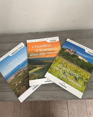 Raccolta DeAgostini vini e terre d’italia