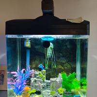 Acquario a Led Amtra 30 litri