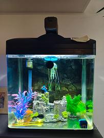 Acquario a Led Amtra 30 litri