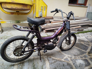 Piaggio Si ,Califfone