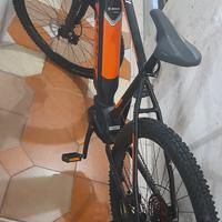 E-mtb motore Bosh seminuova!!!