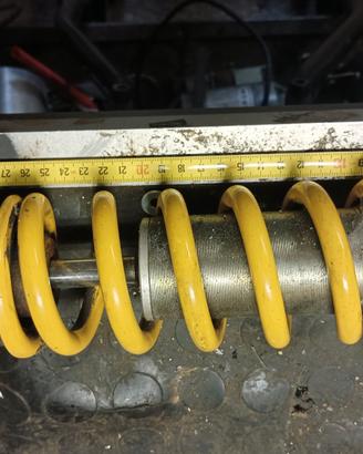 Ammortizzatore  SACHS 320mm Cagiva Raptor