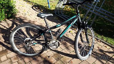 Bici Bottecchia HT24 Bambina