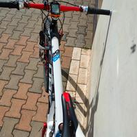 MTB 29 carbonio