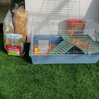  gabbia grande per conigli 