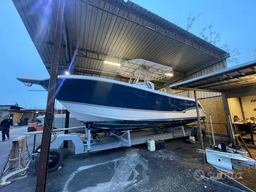 Pro line 29 grand sport