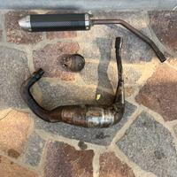 Terminale gianelli, pancia 50