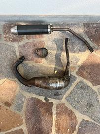 Terminale gianelli, pancia 50