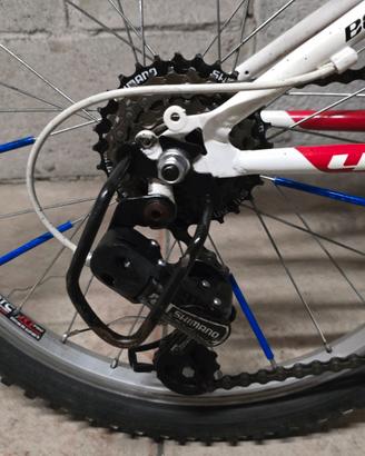 bicicletta bambino 20 pollici 