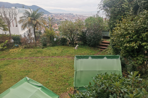 Vitto e alloggio disponibili per aiuto domestico