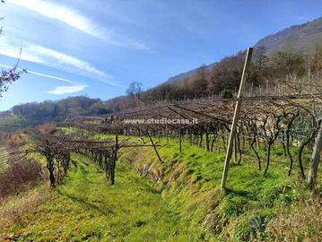 PATONE: grande terreno agricolo