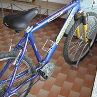 BICICLETTE MOUNTAIN BIKES