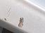 Immagine 12