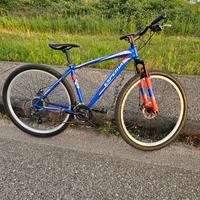 bicicletta esperia 29