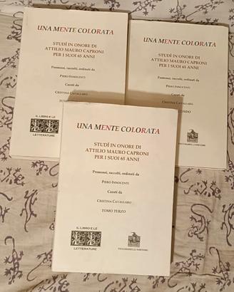 Una mente colorata studî per Attilio Mauro Caproni
