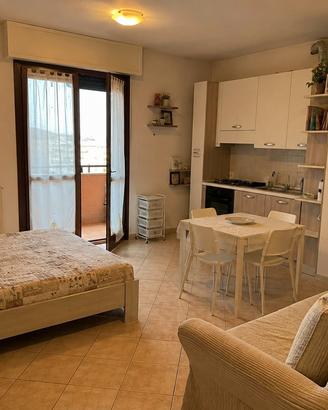 Ampio monolocale con balcone a Villasanta