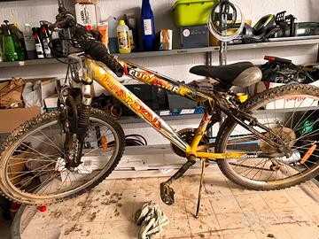 Bicicletta ragazzino