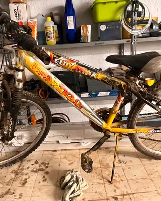 Bicicletta ragazzino