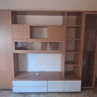 sala economica tv libreria 