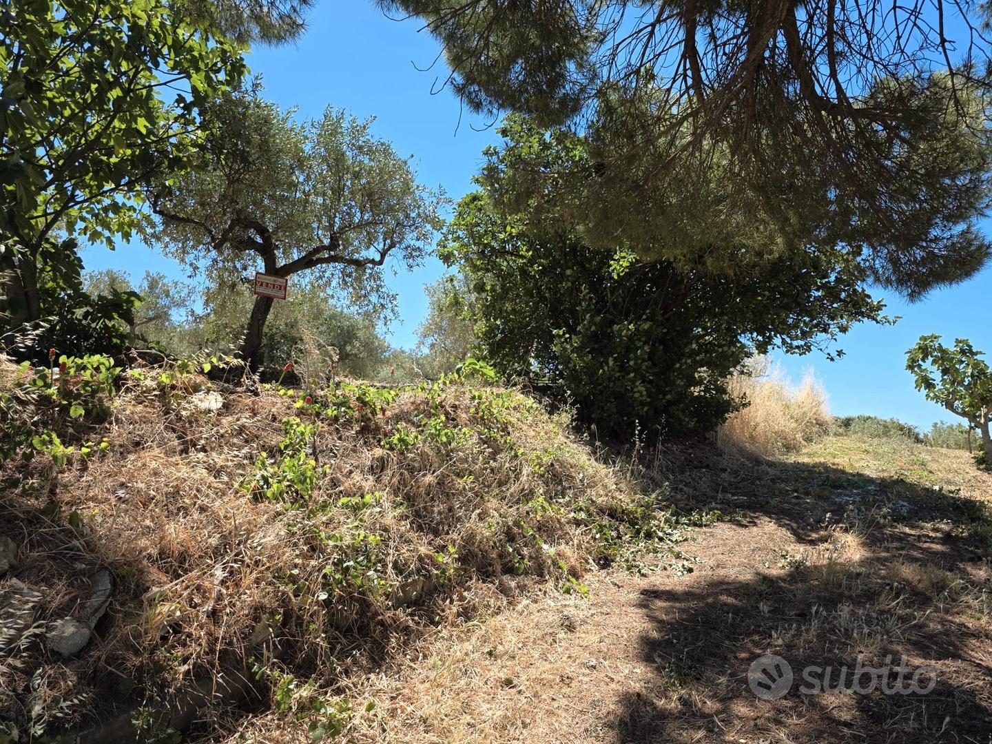 Santa ninfa terreno 2600 mq zona artigianale - Altro