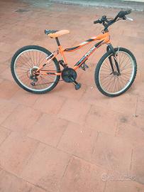 biciclette puzone