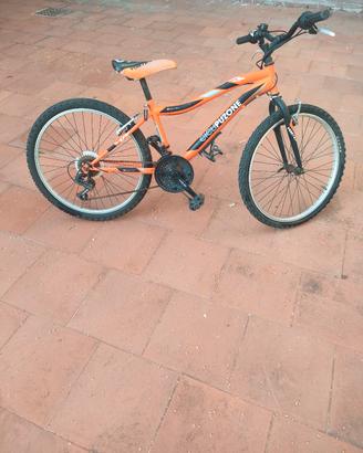 biciclette puzone