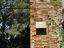 Immagine 12