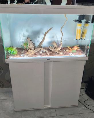 Acquario  con mobile marca Ciano –  60hx100Lx40p