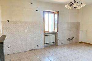 Cielo/Terra indipendente, Selci, SL/006