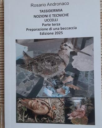 Tassidermia Preparazione di una beccaccia