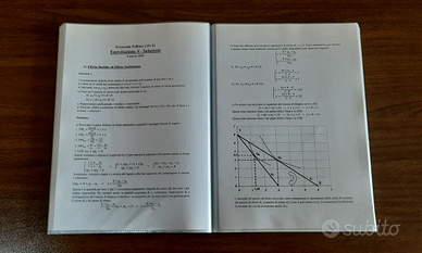 Esercitazioni (con soluzioni) di Microeconomia
